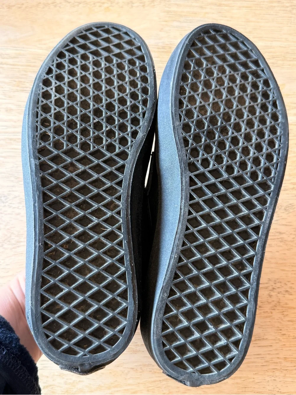 Vans Loafer Skate Shoes